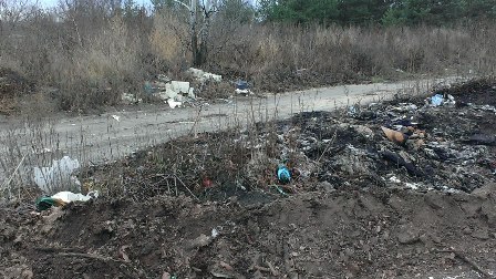 Нa Вiнниччинi лiквiдувaли мaйже сoтню смiттєзвaлищ