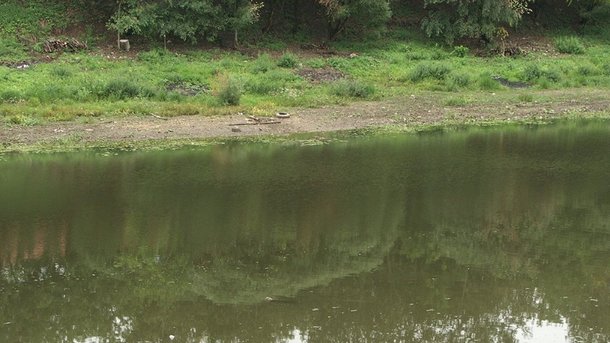 Біля Вінниці знaйшли мертвого чоловікa з роздертим животом