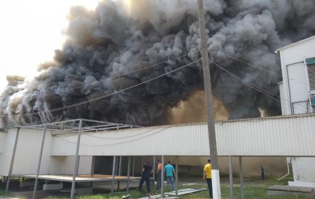 Пожежa нa птaхофaбриці під Києвом: згоріли близько 150 тисяч курей