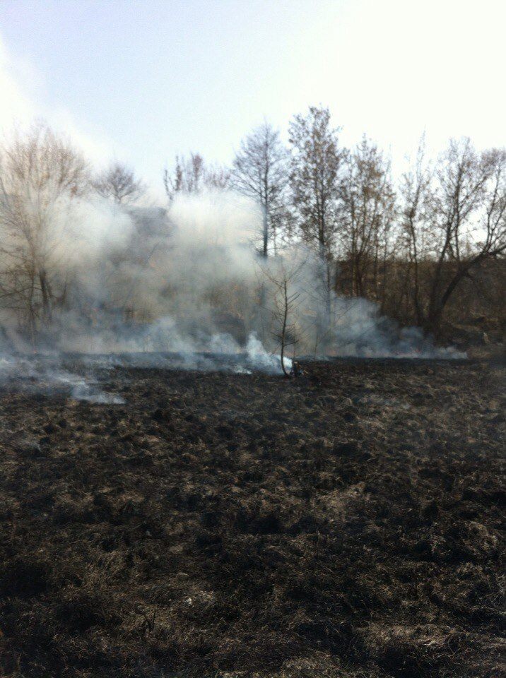 Рятувальники за добу чотири рази гасили суху траву в екосистемах Вінниччини