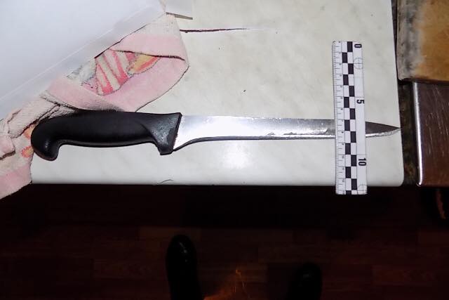 Драка из-за квартплаты: житель Одесской области ударил ножом брата