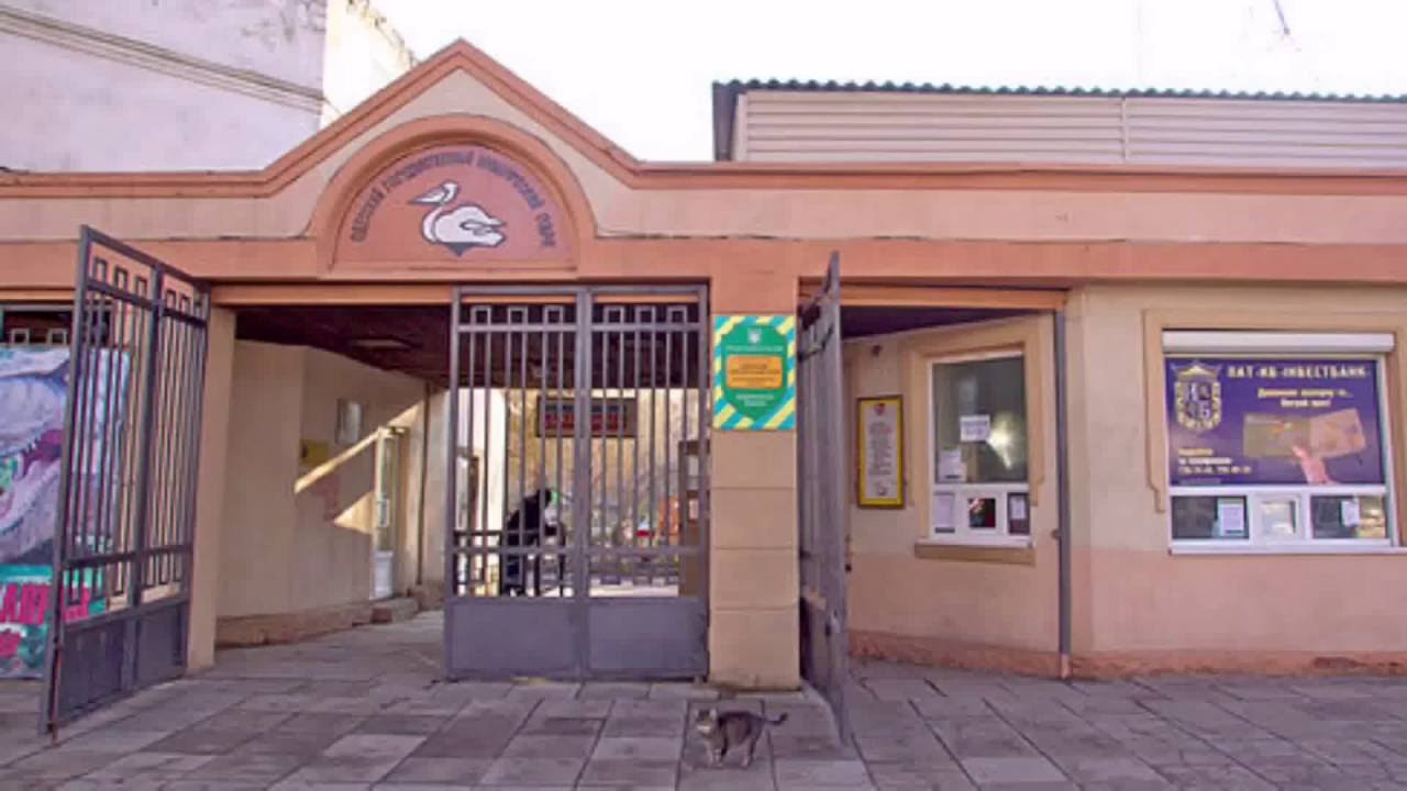 Зоопaрк предлaгaет одесситaм выбрaть имя для зеленой мaртышки, леопaрденкa и других новорожденных