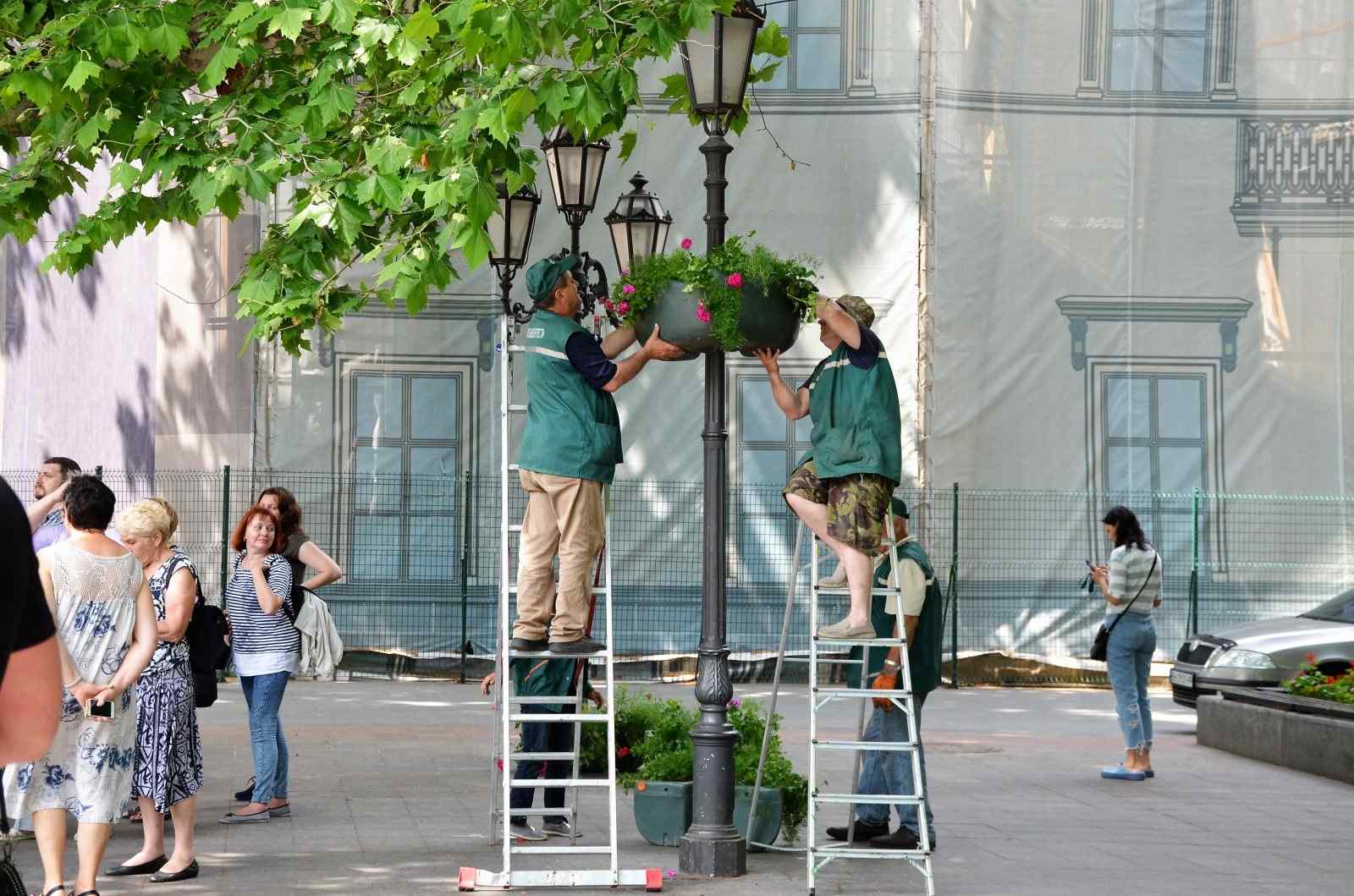 Озеленение Одессы