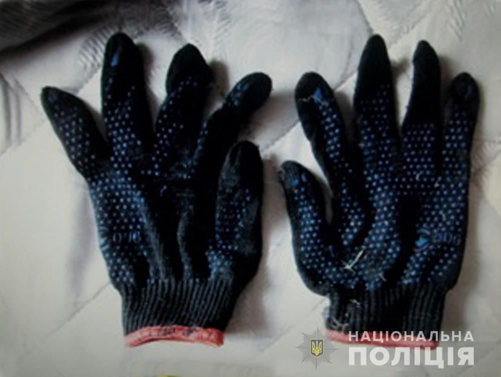 У Житомирі брати-домушники грабували людей (ФОТО)