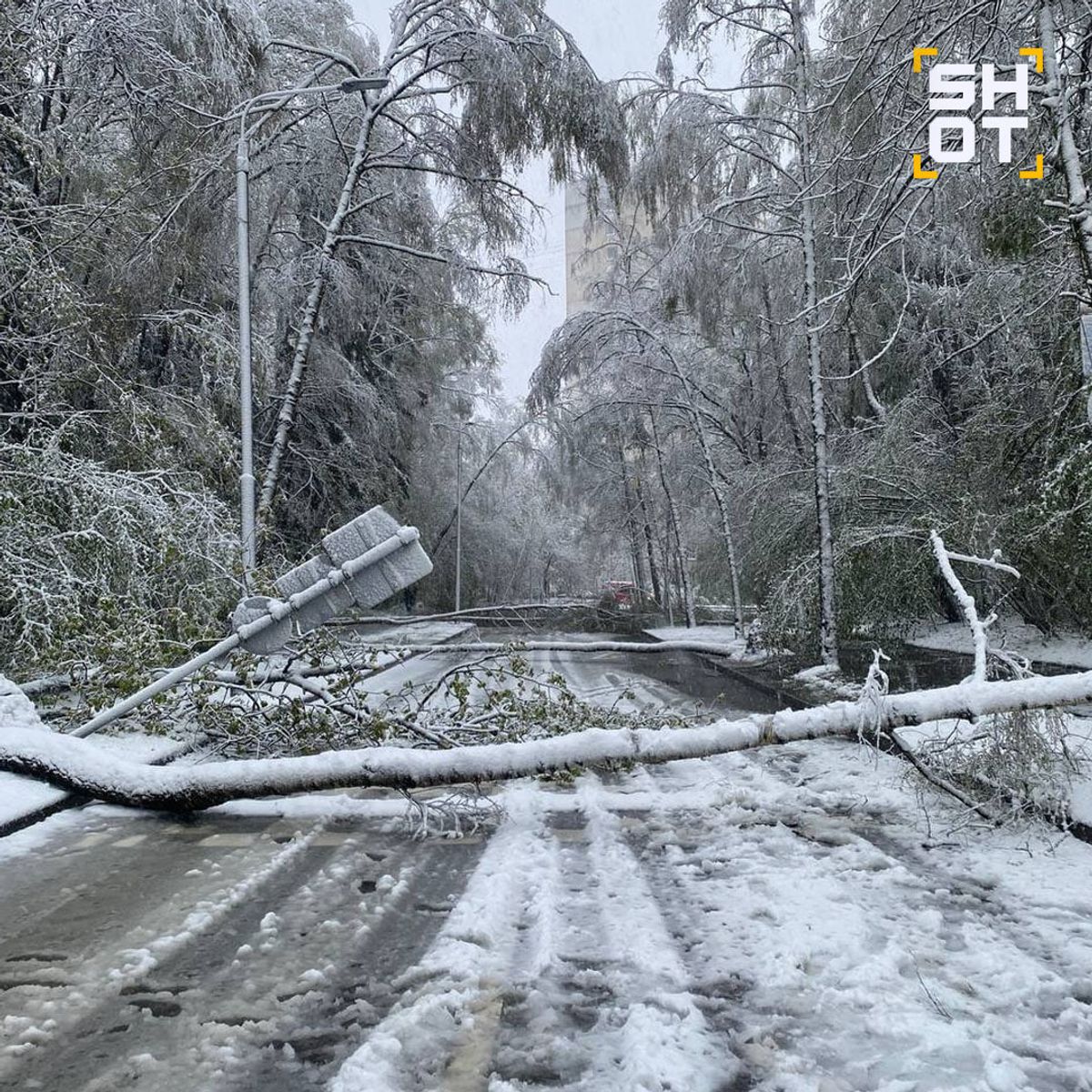 москву та московську область засипало снігом - синоптики обіцяють дощ
