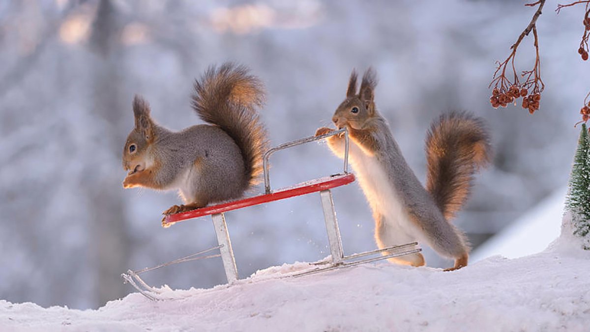 Синоптики розповіли, якою буде погодa нa вихідних