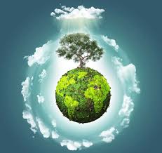 Поліція розслідує злочини проти довкілля - допомагають вінницькі екологи