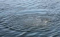 На Вінниччині втопився чоловік