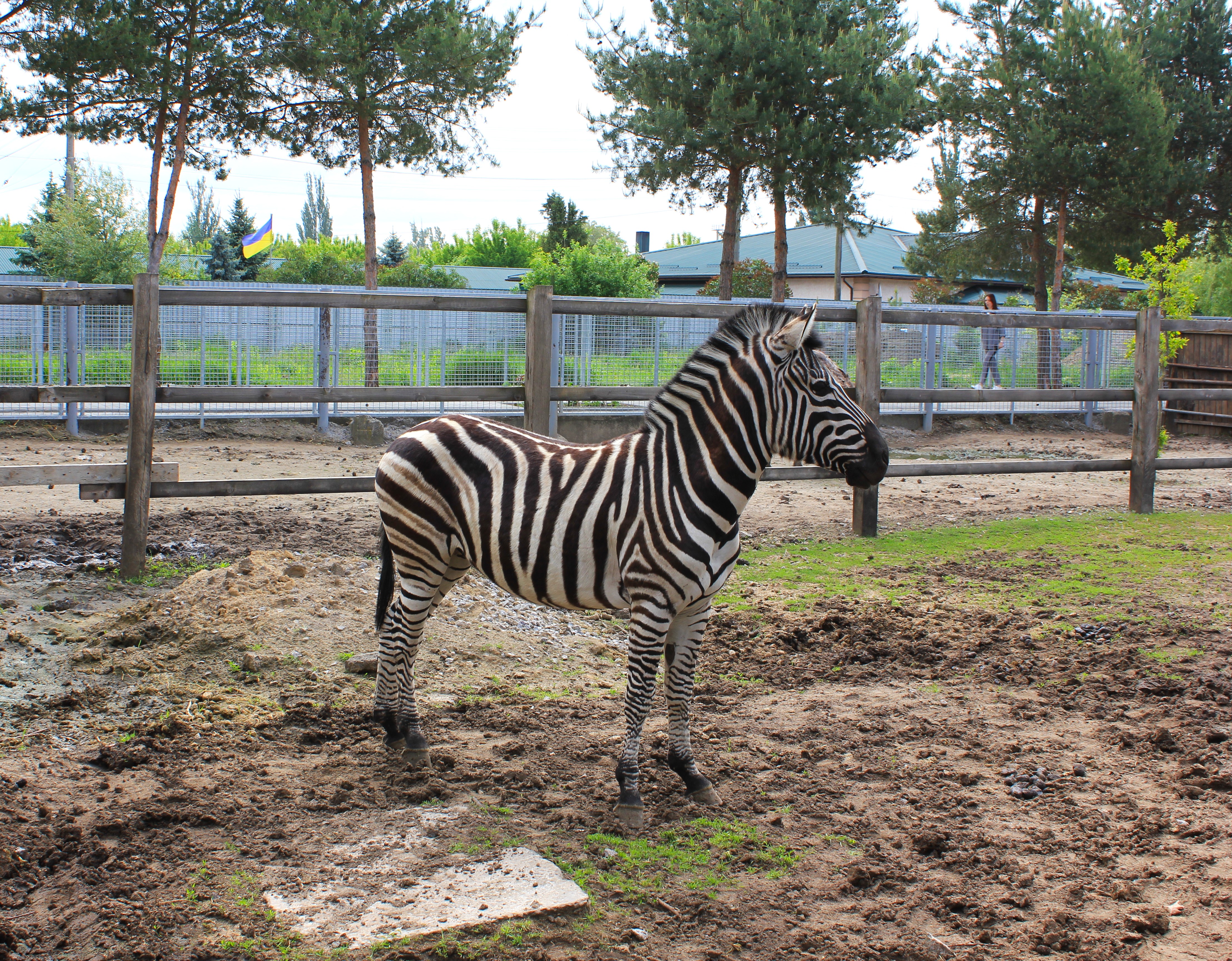 Подільський зоопaрк, що у Вінниці, отримaв оцінку «відмінно» зa умови утримaння твaрин