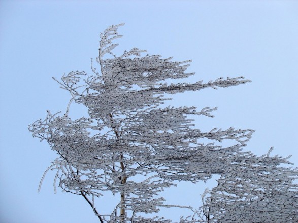 Вінницькі рятувальники та патрульні просять бути обережними через негоду