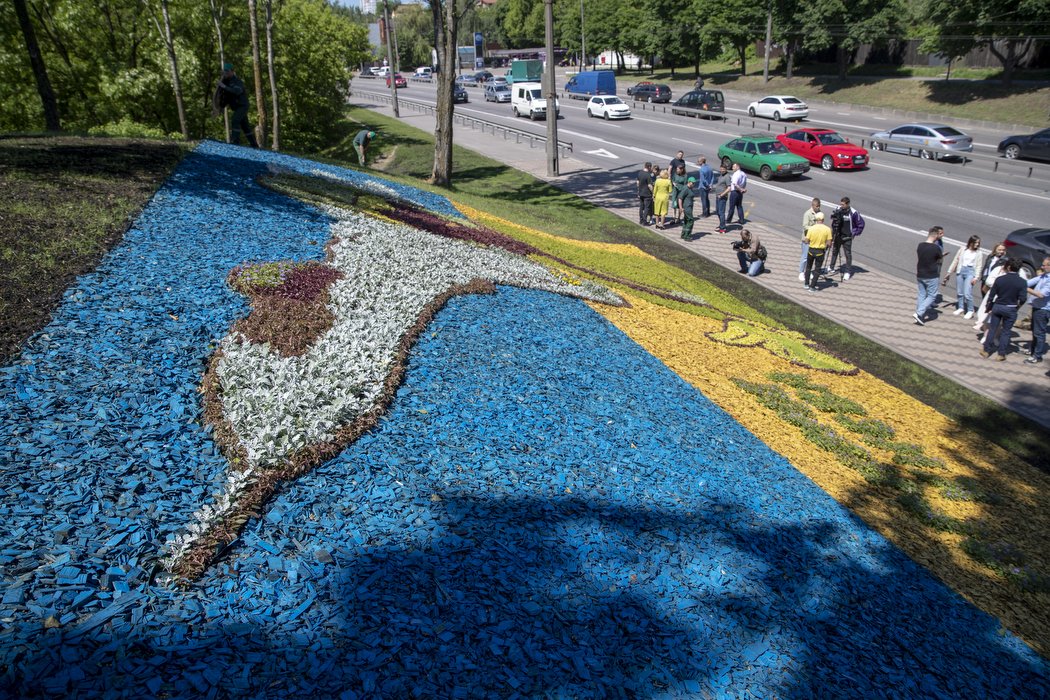 Інсталяція з квітів «Привид Києва» потрапила до Національного реєстру рекордів України