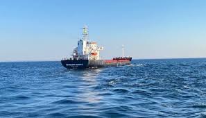 У Туреччину тимчасовим коридором прибуло перше судно з українським зерном