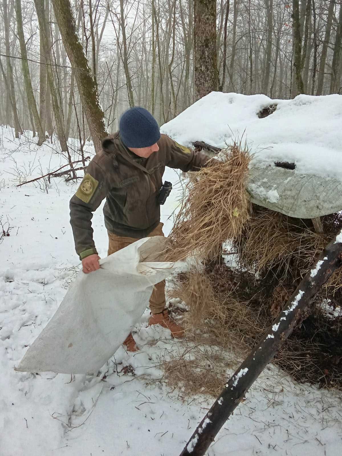 У НПП «Кармелюкове Поділля» взимку підгодовують диких тварин