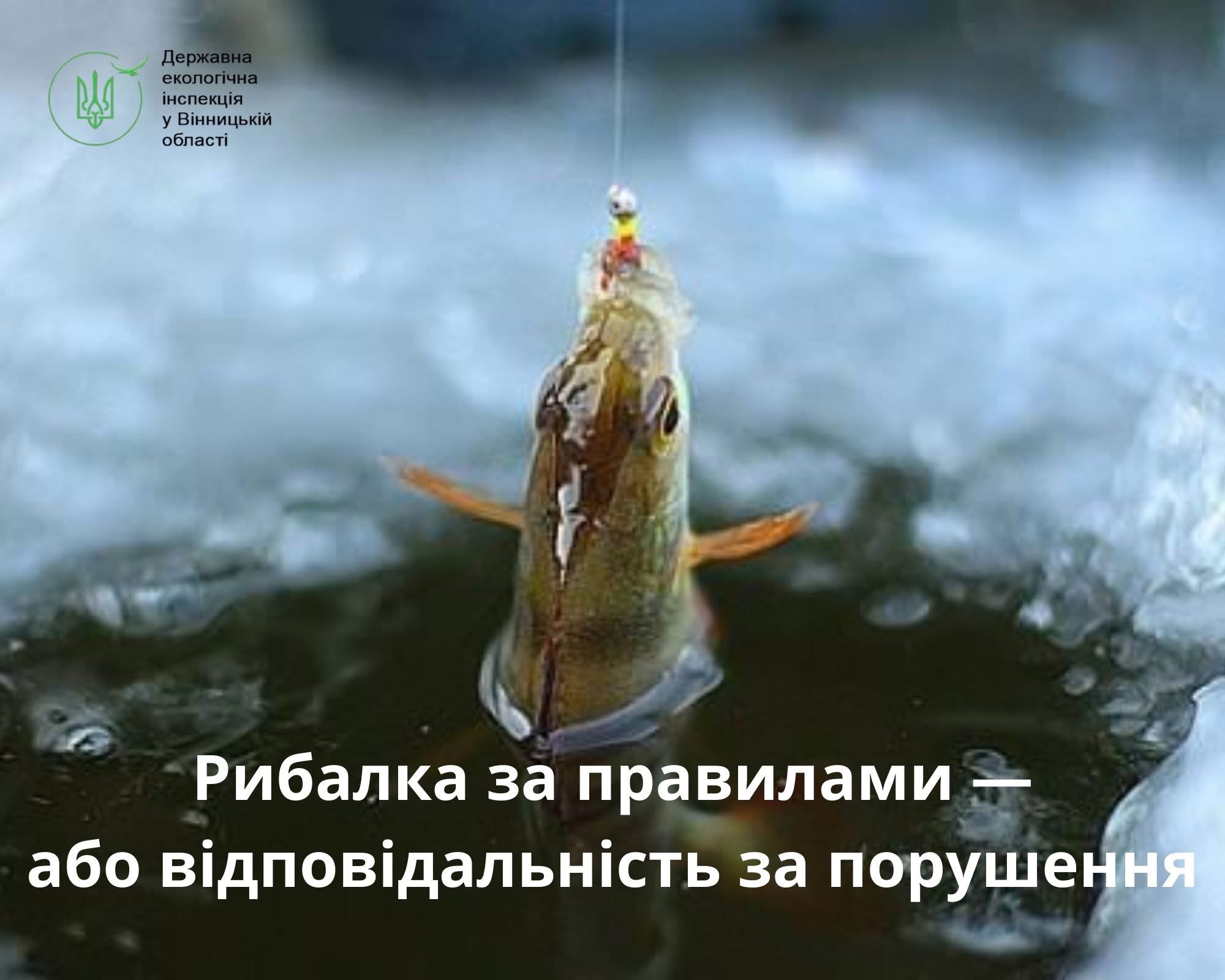 На Південному Бузі викрили трьох порушників правил любительського рибальства