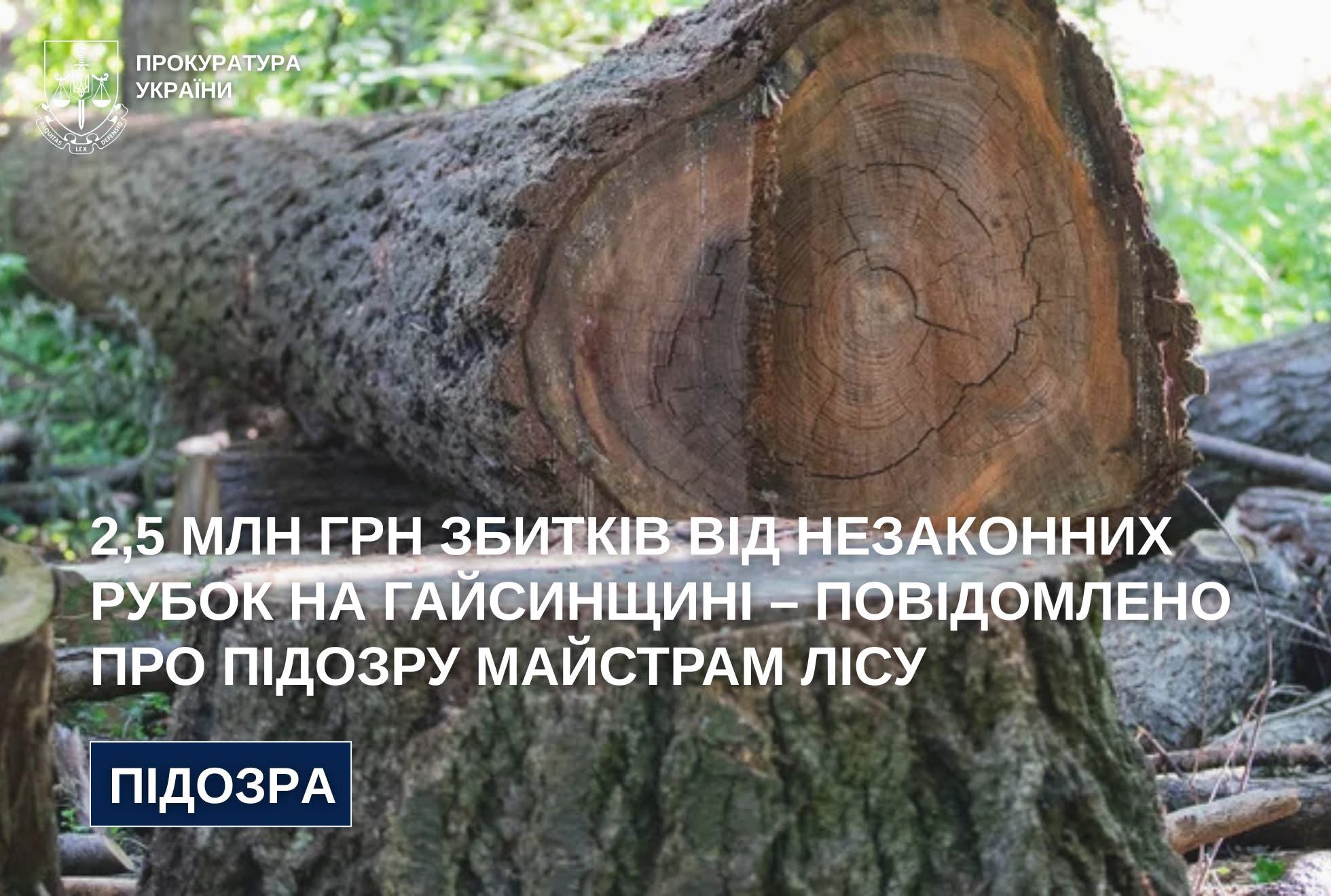 На Вінниччині двом майстрам лісу повідомили про підозру у службовій недбалості