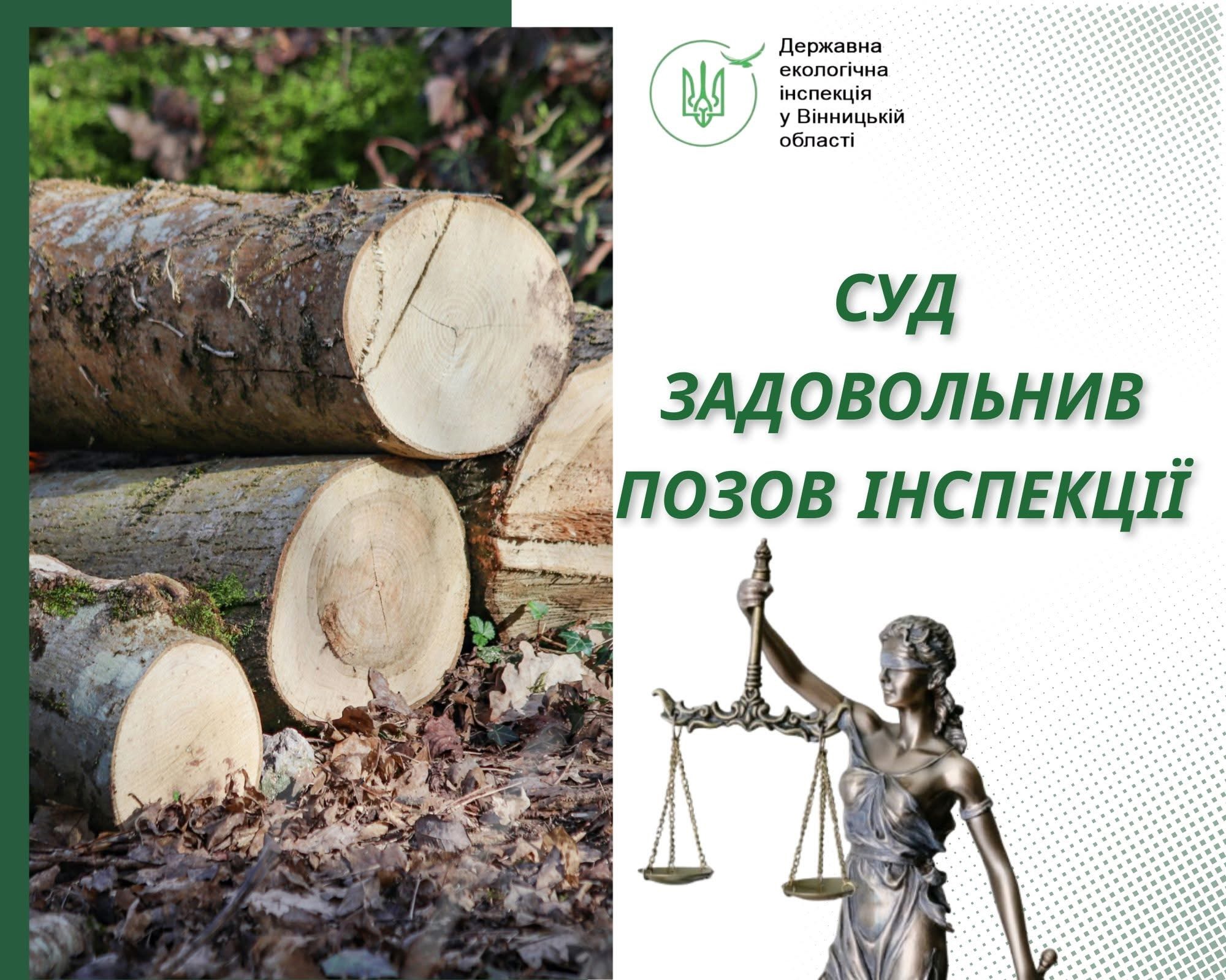 На Вінниччині суд зобов’язав відшкодувати понад 22 тисячі гривень збитків за незаконну вирубку дерев