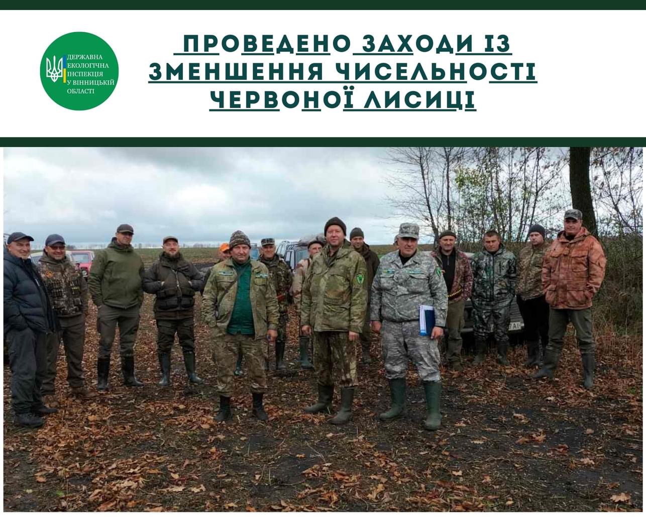 У громадах Вінниччини почали діяти бригади з відстрілу червоної лисиці
