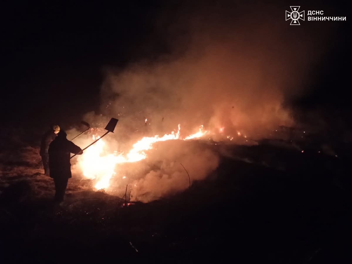 Вогняна загроза: на Вінниччині за добу ліквідували 24 пожежі в екосистемах