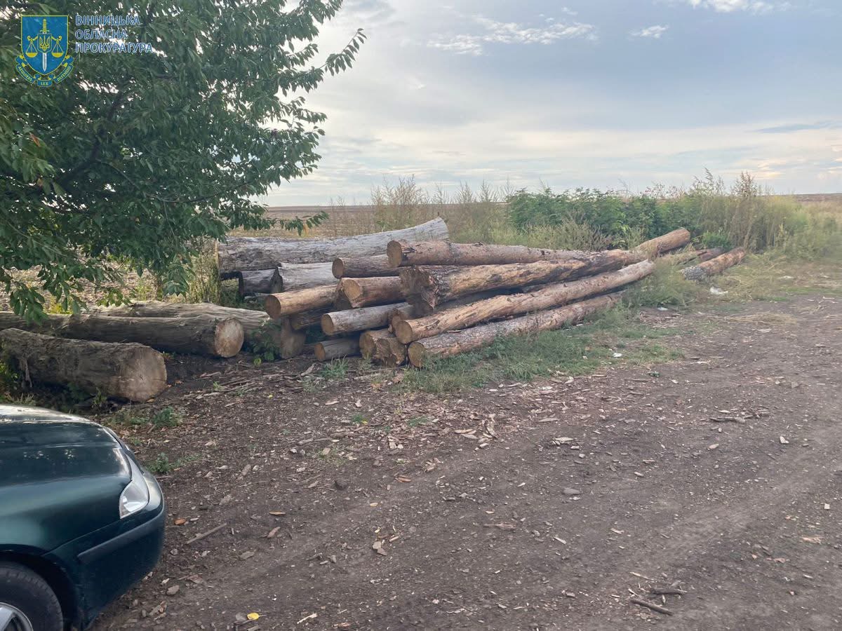 На Вінниччині судитимуть злочинну групу за незаконні вирубки лісу