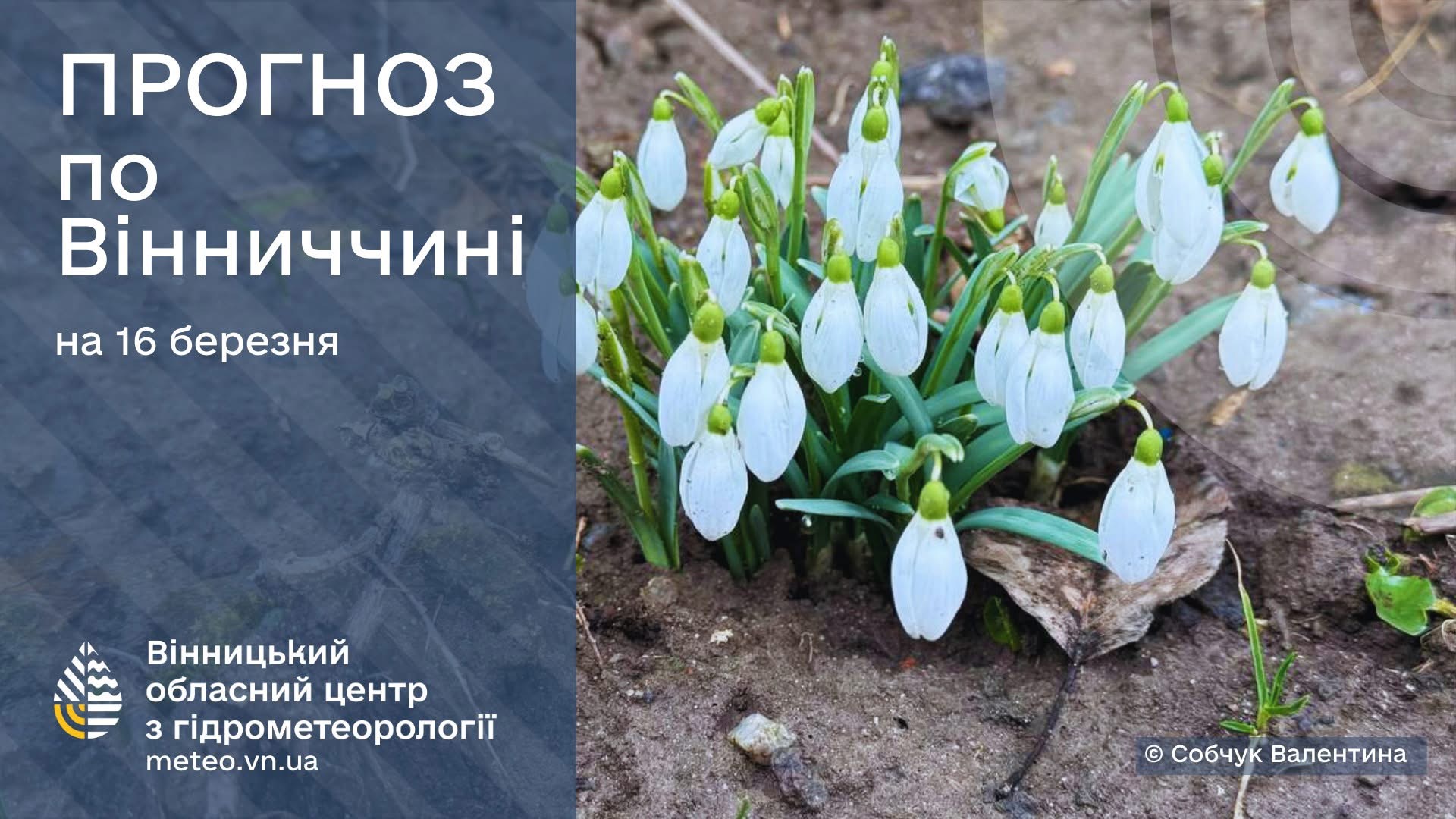 Погода на 16 березня: мокрий сніг, дощ та похолодання