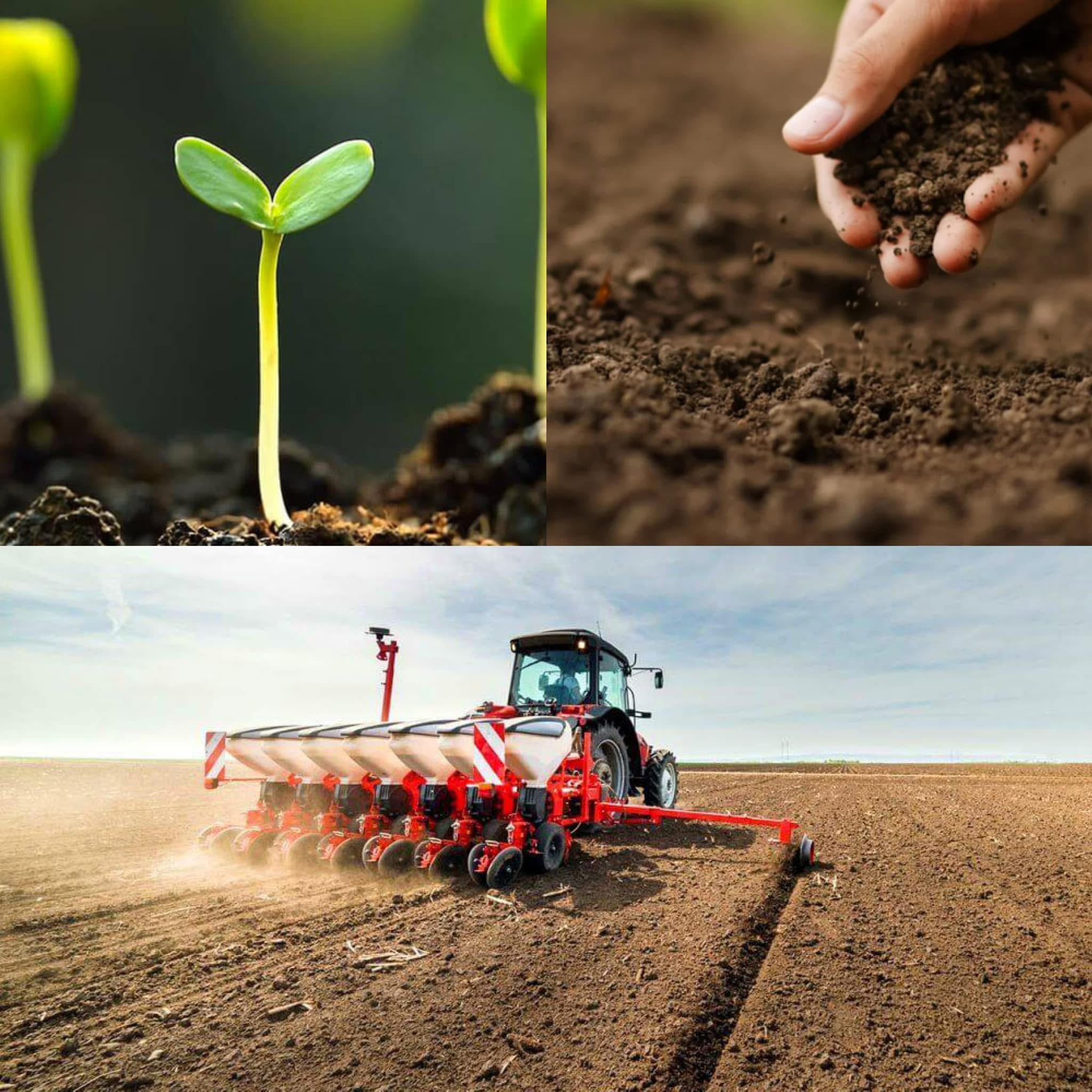 На Вінниччині стартували весняно-польові роботи: аграрії активно засівають поля