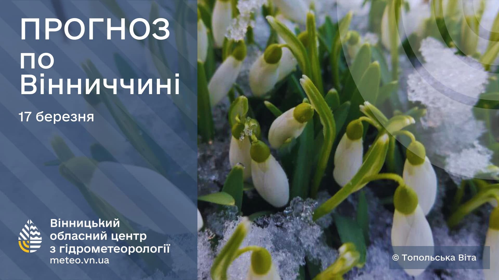 На Вінниччині похолодання: синоптики прогнозують морозні ночі та мокрий сніг