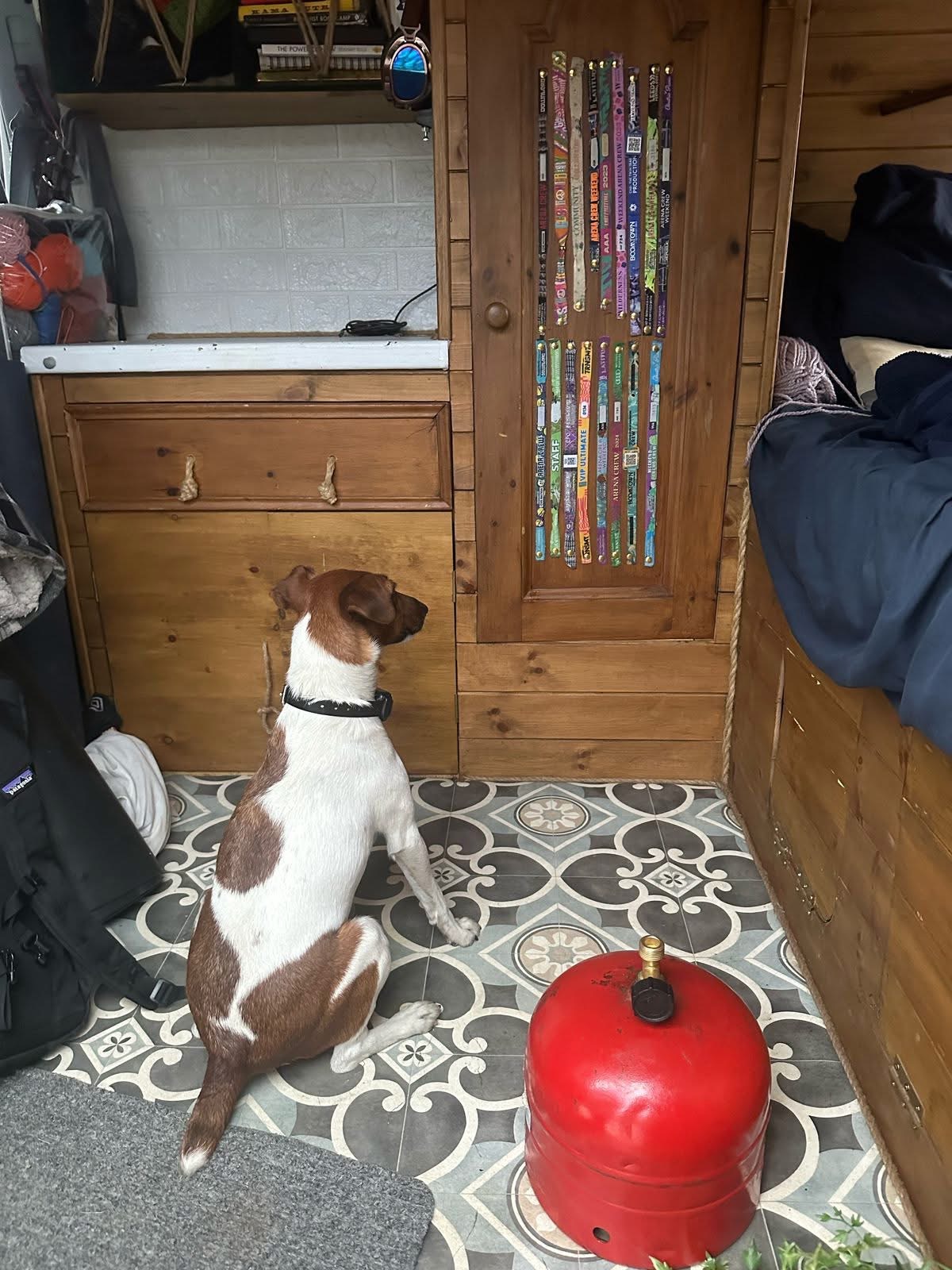 Прикордонна Гера на сторожі: в Україну намагалися ввезти наркотики