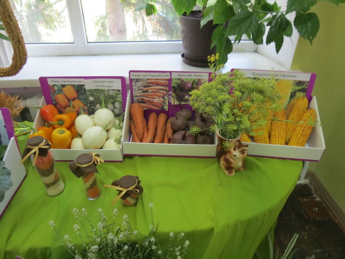 Як за допомогою соди вдвічі підвищити врожайність моркви? Учасники вінницького зльоту аграрних об’єднань старшокласників презентували цікаві дослідження