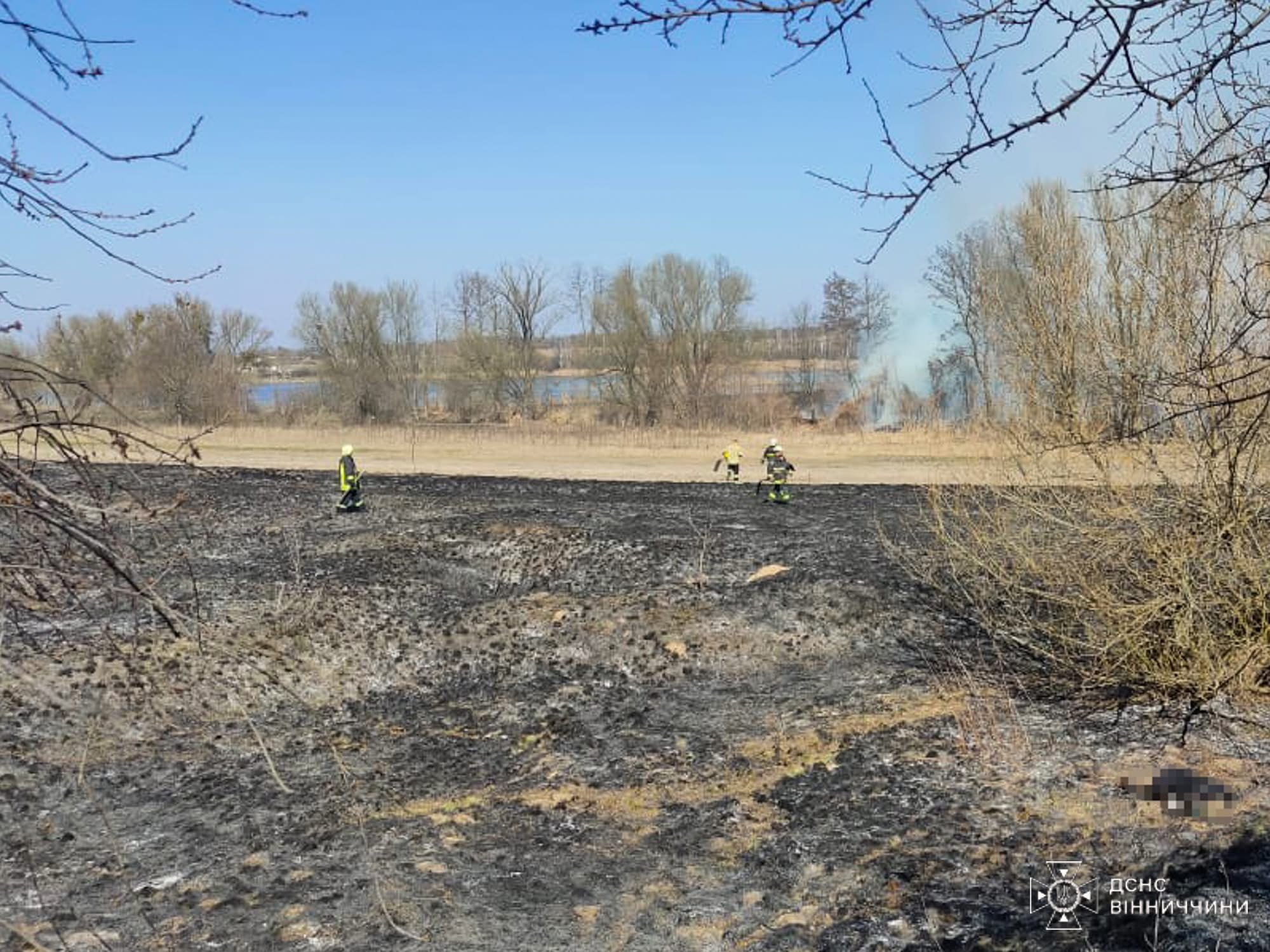 На Вінниччині пожежа в екосистемі забрала життя 85-річної жінки