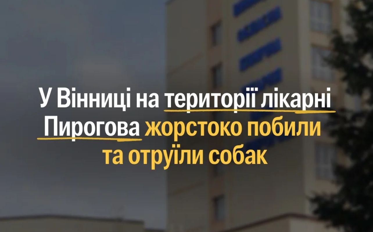 16 вересня у Вінниці на території обласної лікарні сталося масове отруєння собак.