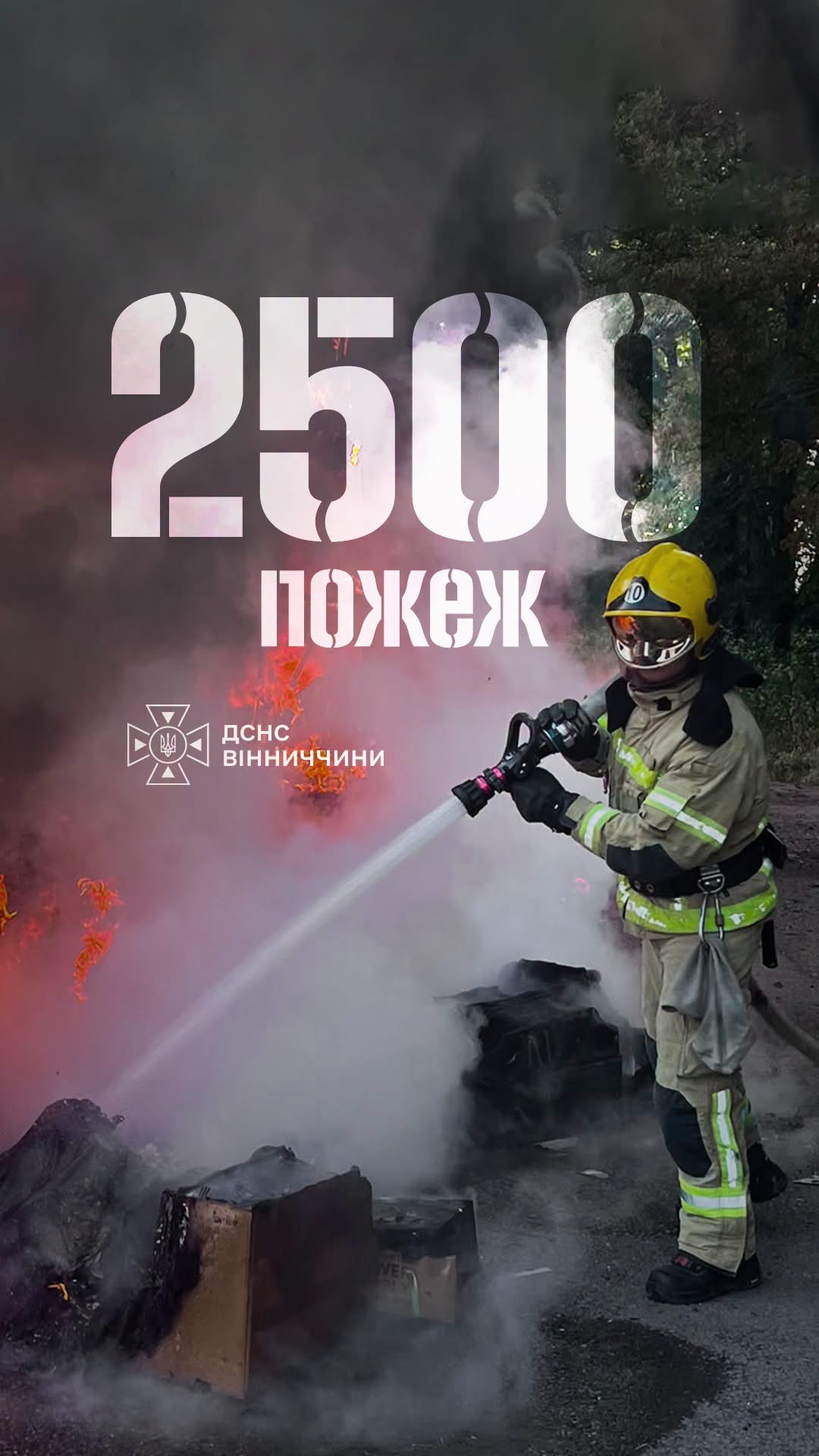 На Вінниччині з початку року ліквідували 2500 пожеж