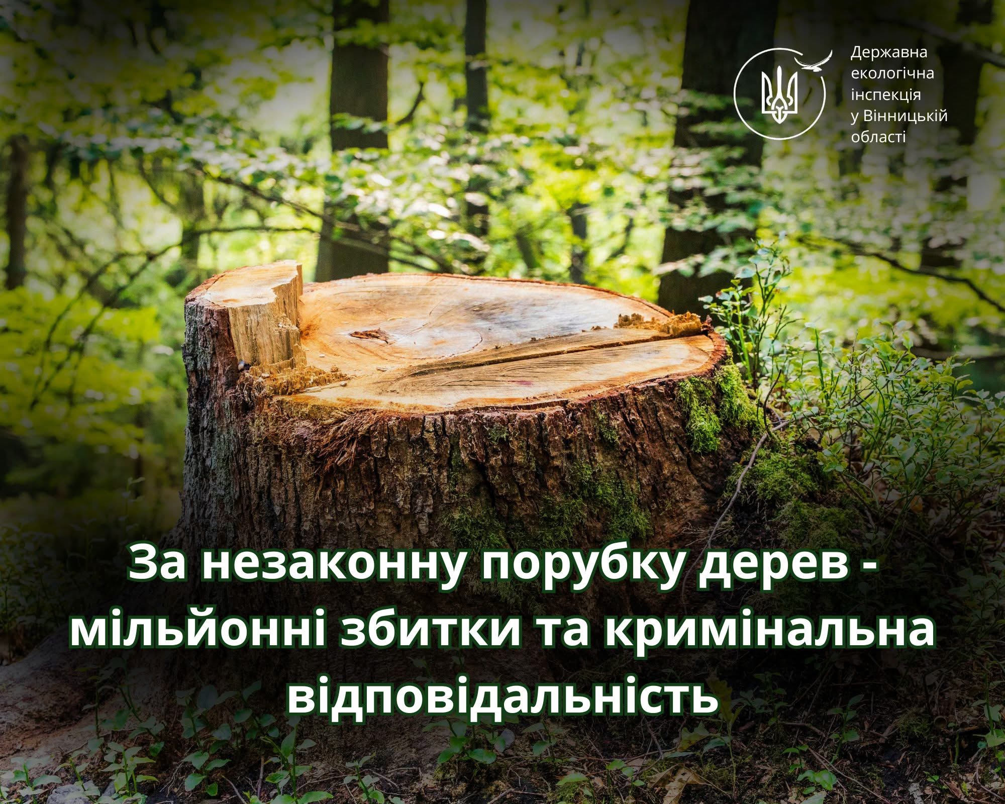 На Вінниччині незаконною вирубкою дерев завдано збитків на понад 2 млн грн