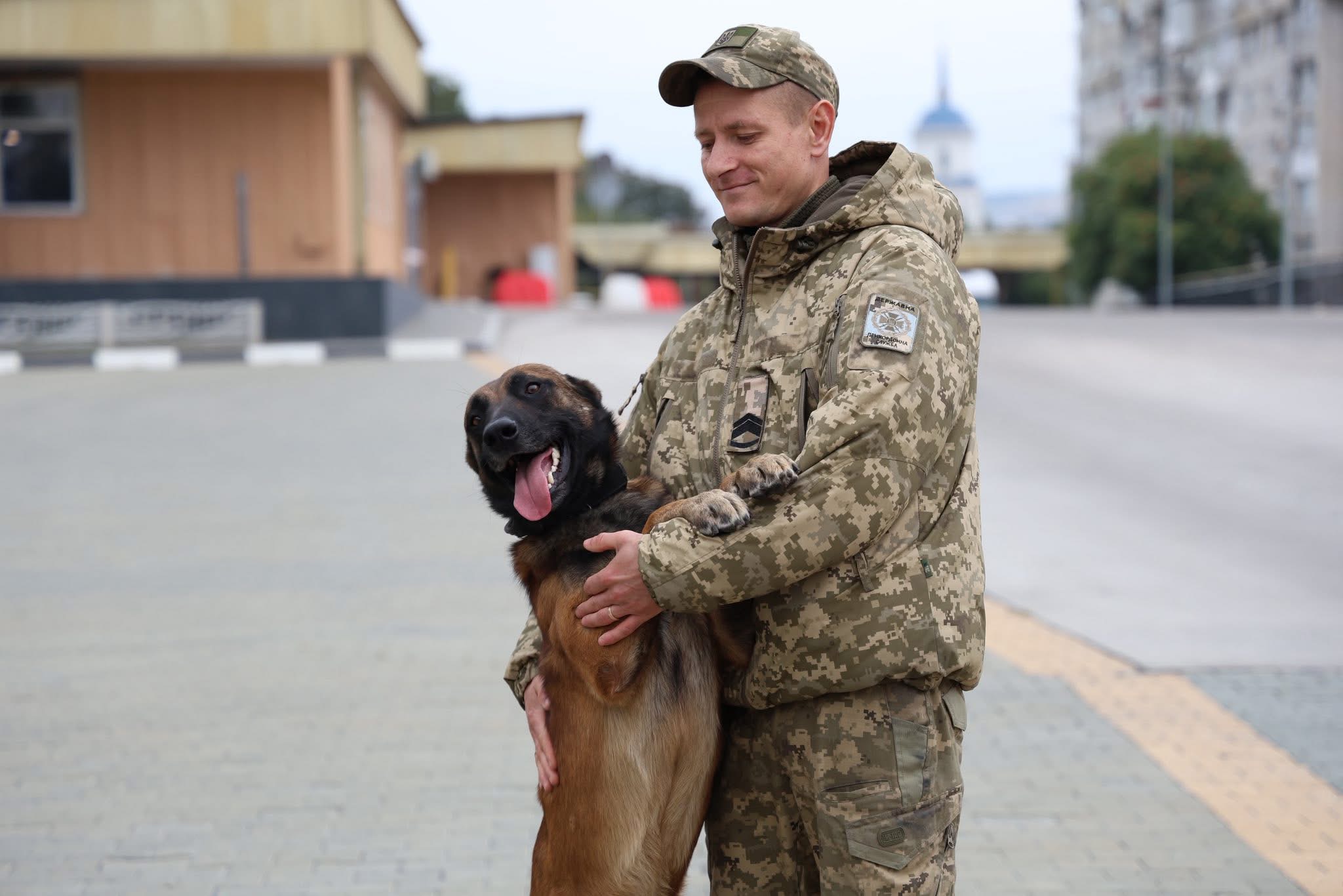 Український Хатіко: історія прикордонного пса Кая