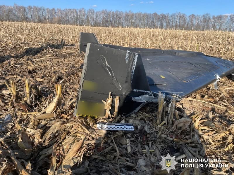 На Вінниччині знешкодили небезпечні уламки дрона «Герань-2»