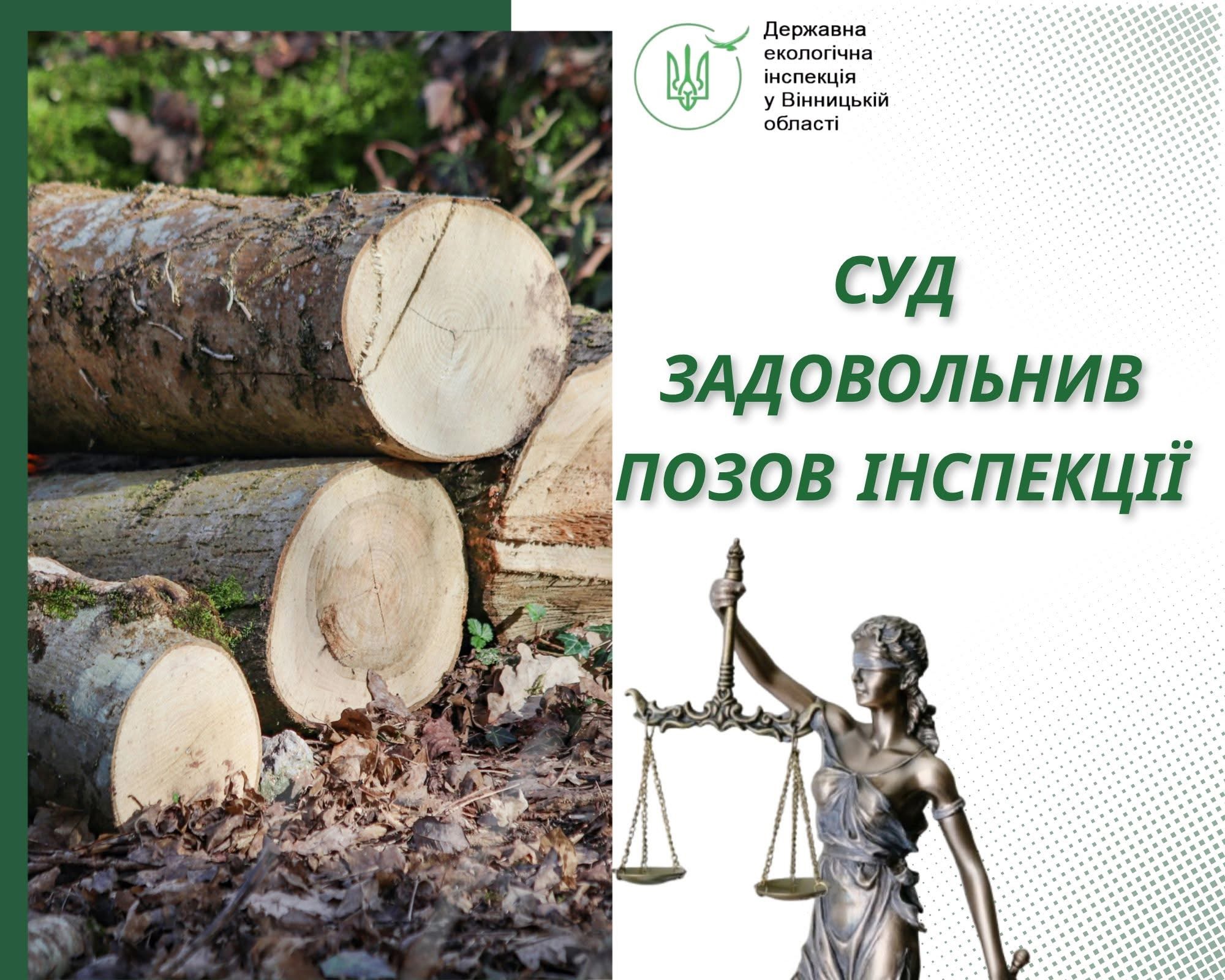 Лісник із Калинівки відповість за незаконну вирубку дерев і розтрату ввіреного майна