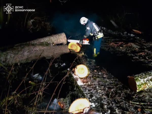 Наслідки негоди на Вінниччині: ДСНС очищали дороги в чотирьох районах