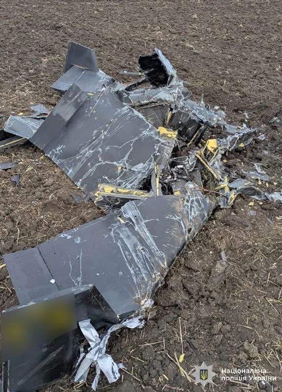 На Вінниччині вибухотехніки знешкодили бойові частини збитих ворожих БпЛА