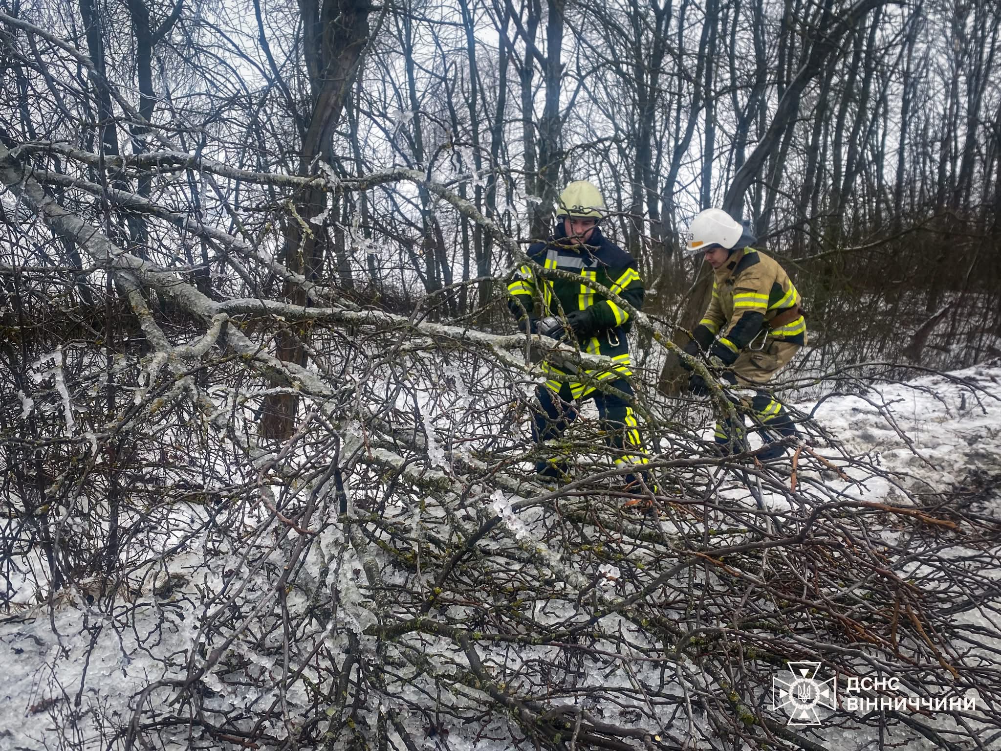 Негода на Вінниччині: рятувальники ліквідовують наслідки ожеледиці на дорогах