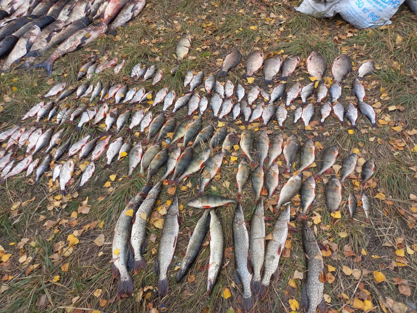 Водойми України – під пильним наглядом рибоохоронців