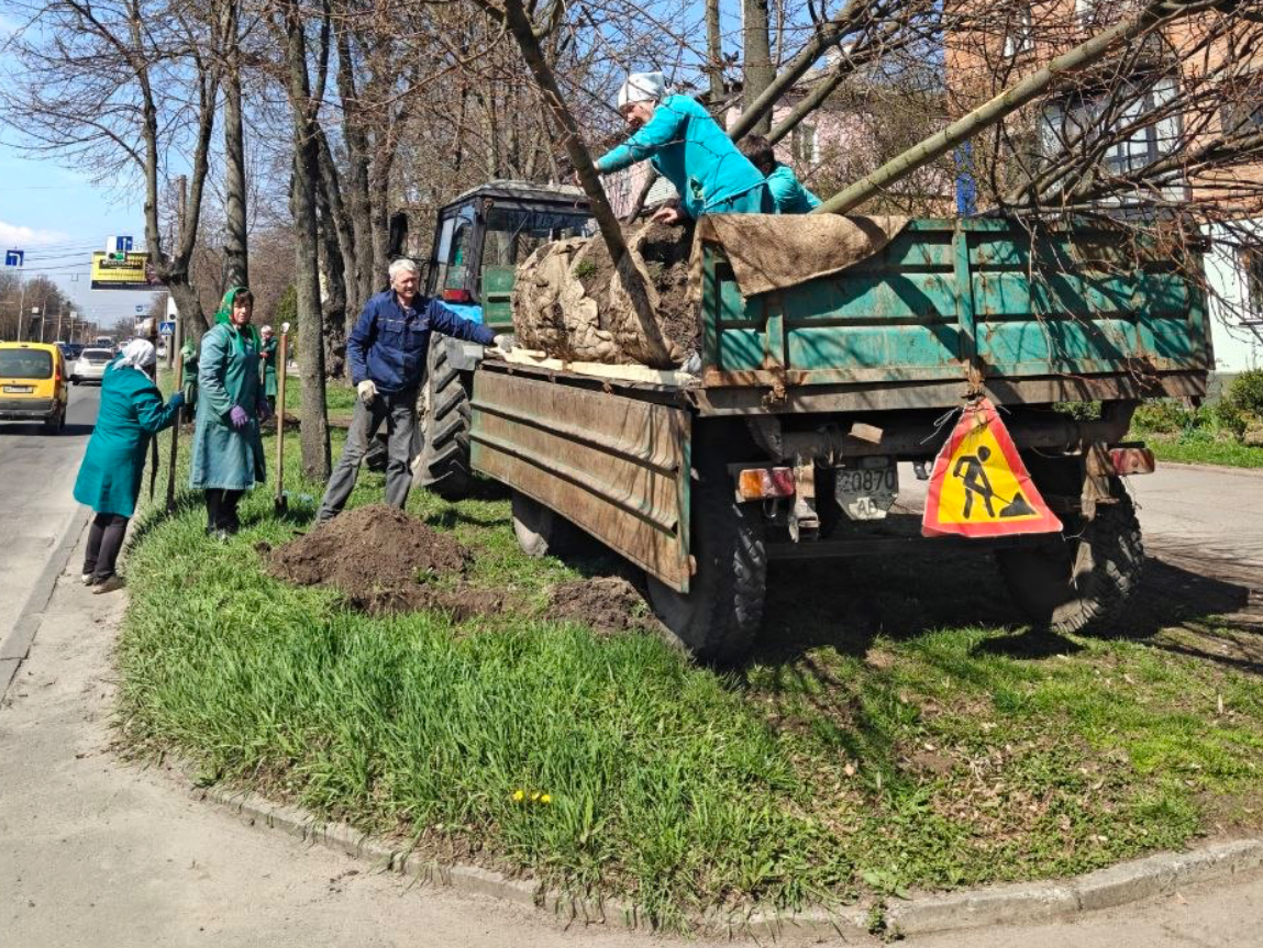 У Вінниці висаджують нові дерева на Хмельницькому шосе