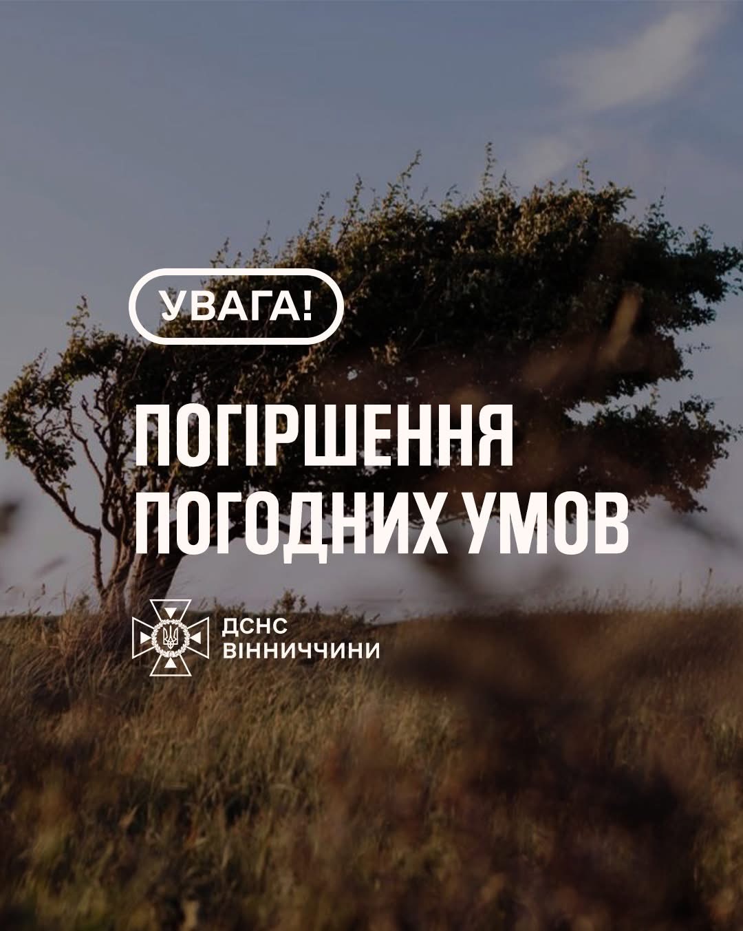 Пориви вітру до 20 м/с: вінничан закликають бути обережними 29 жовтня