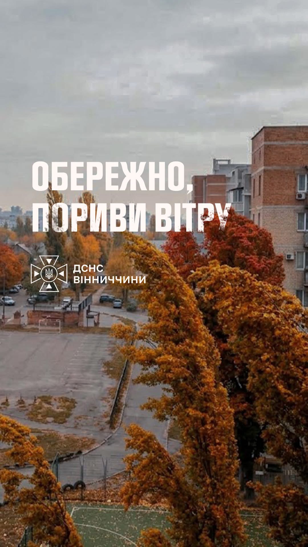 На Вінниччині 22 жовтня прогнозують пориви вітру до 20 м/с