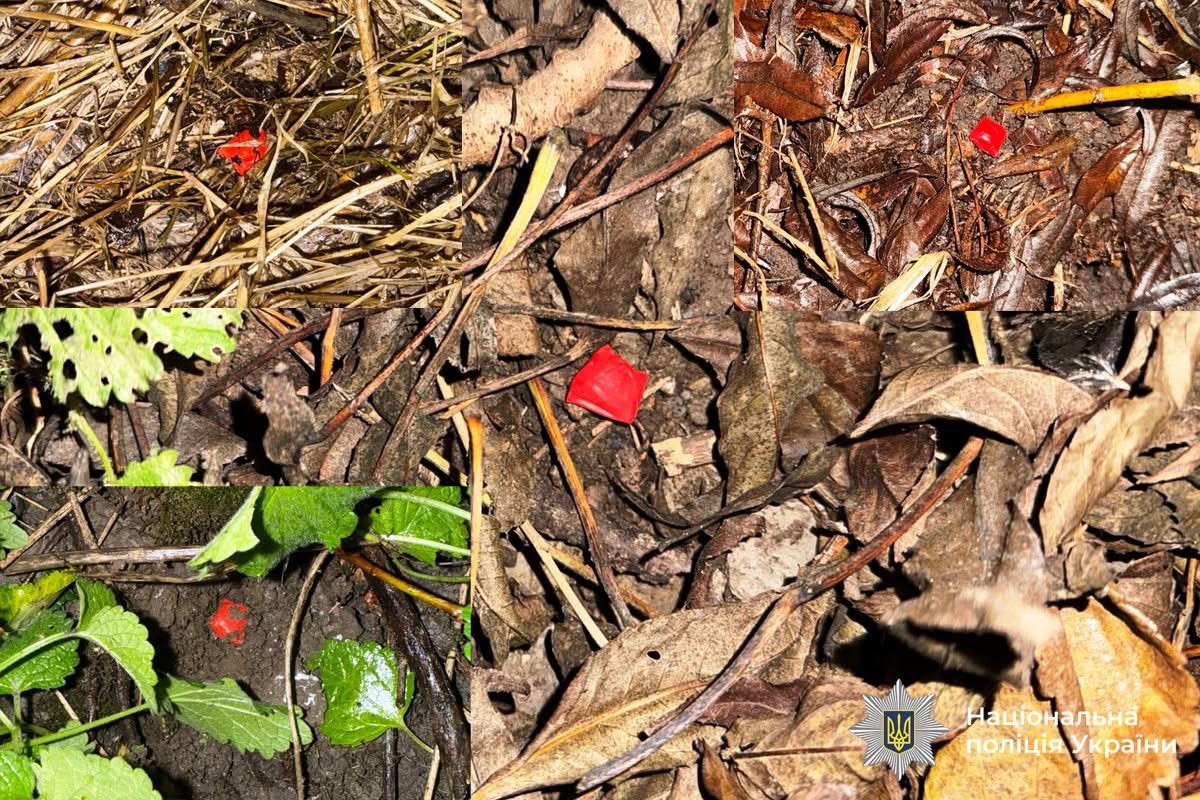 У Вінниці затримали 24-річного закладчика з Миколаєва