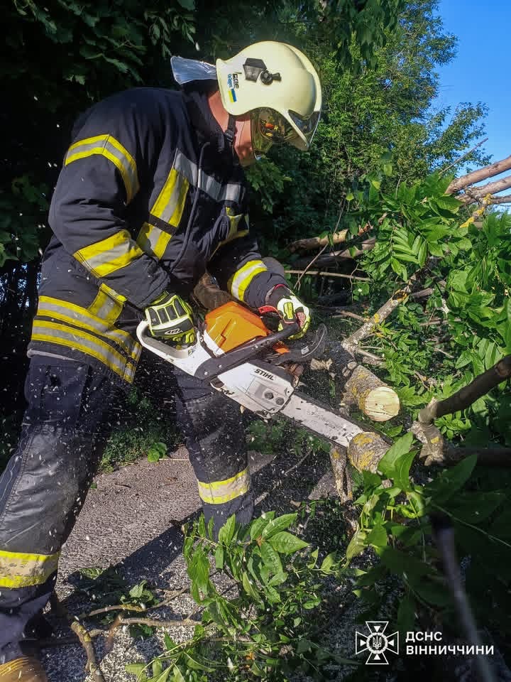 Рятувальники п’ять разів виїжджали на ліквідацію наслідків негоди на Вінниччині
