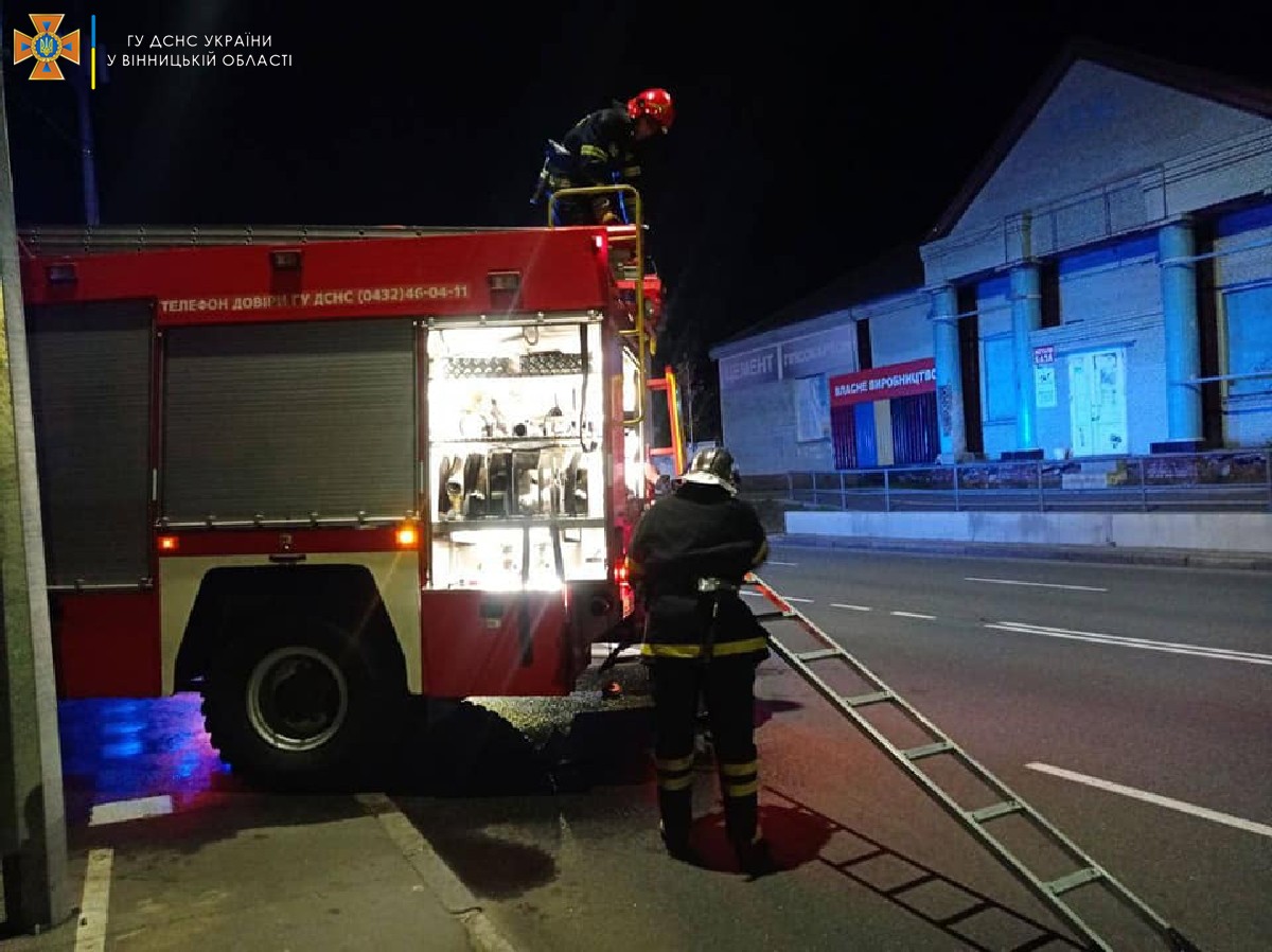 У Вінниці через пожежу в гaрaжі згорів aвтомобіль (ФОТО)