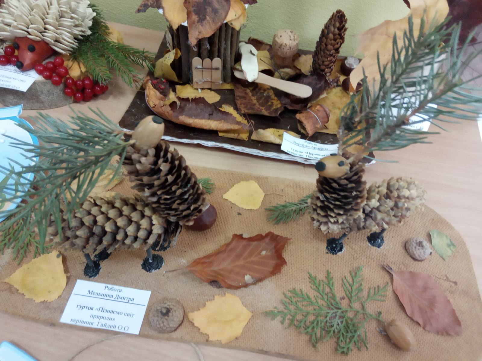 У Вінниці в рамках природоохоронної акції «Опале листя» триває виставка «Осінні фантазії»