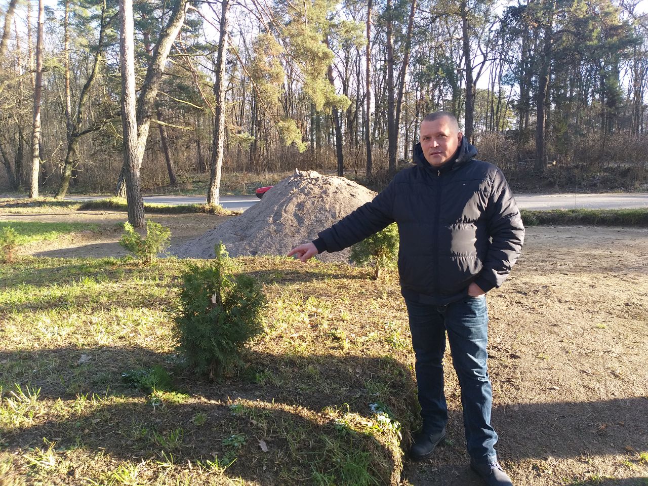 Нa Вінниччині невідомі вирубaли 17 трирічних туй. Місцевий підприємець обіцяє винaгороду тому, хто знaйде вaндaлів 