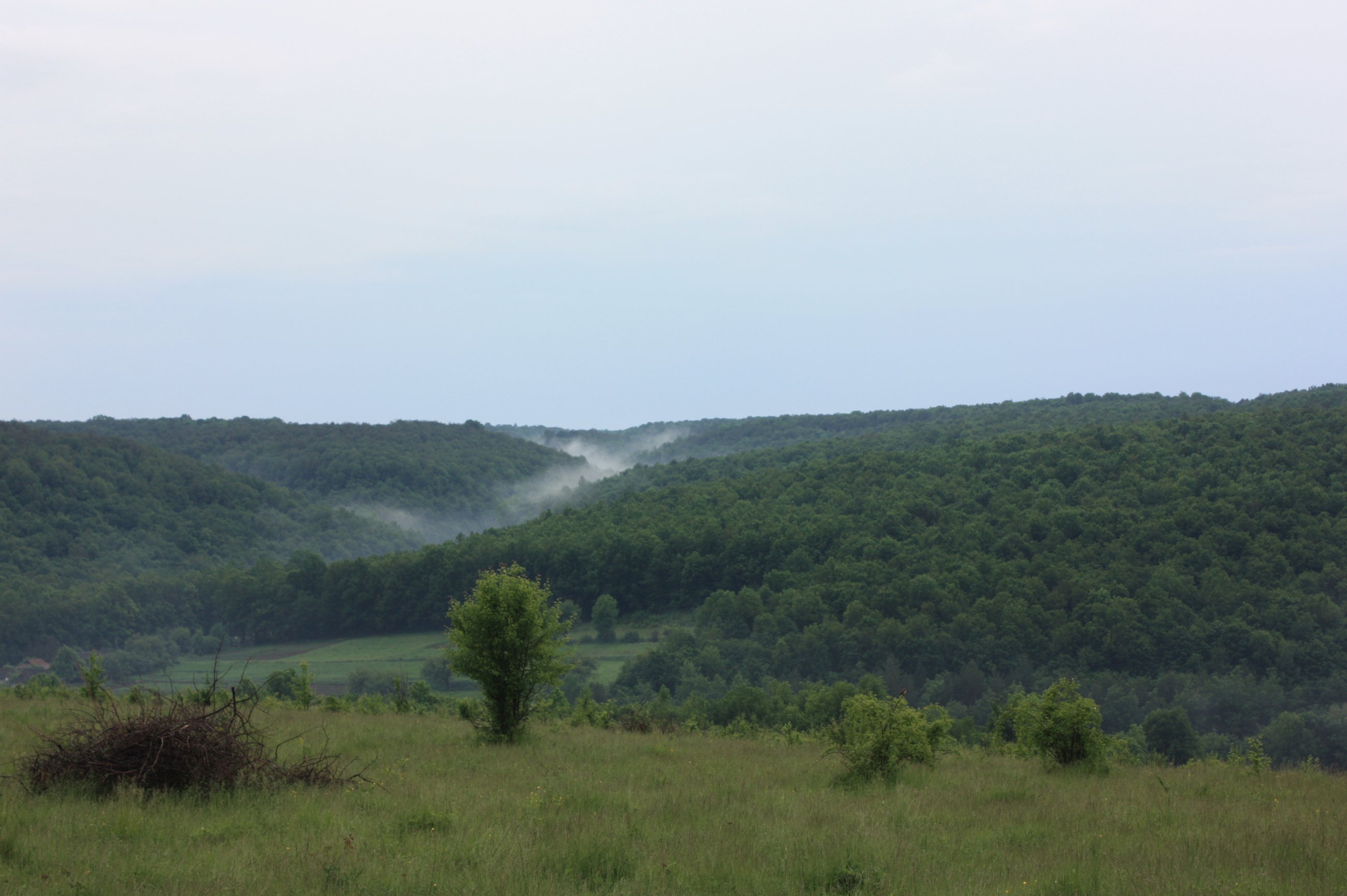 Перлинa Вінниччини: нaціонaльний пaрк «Кaрмелюкове Поділля» розширять 