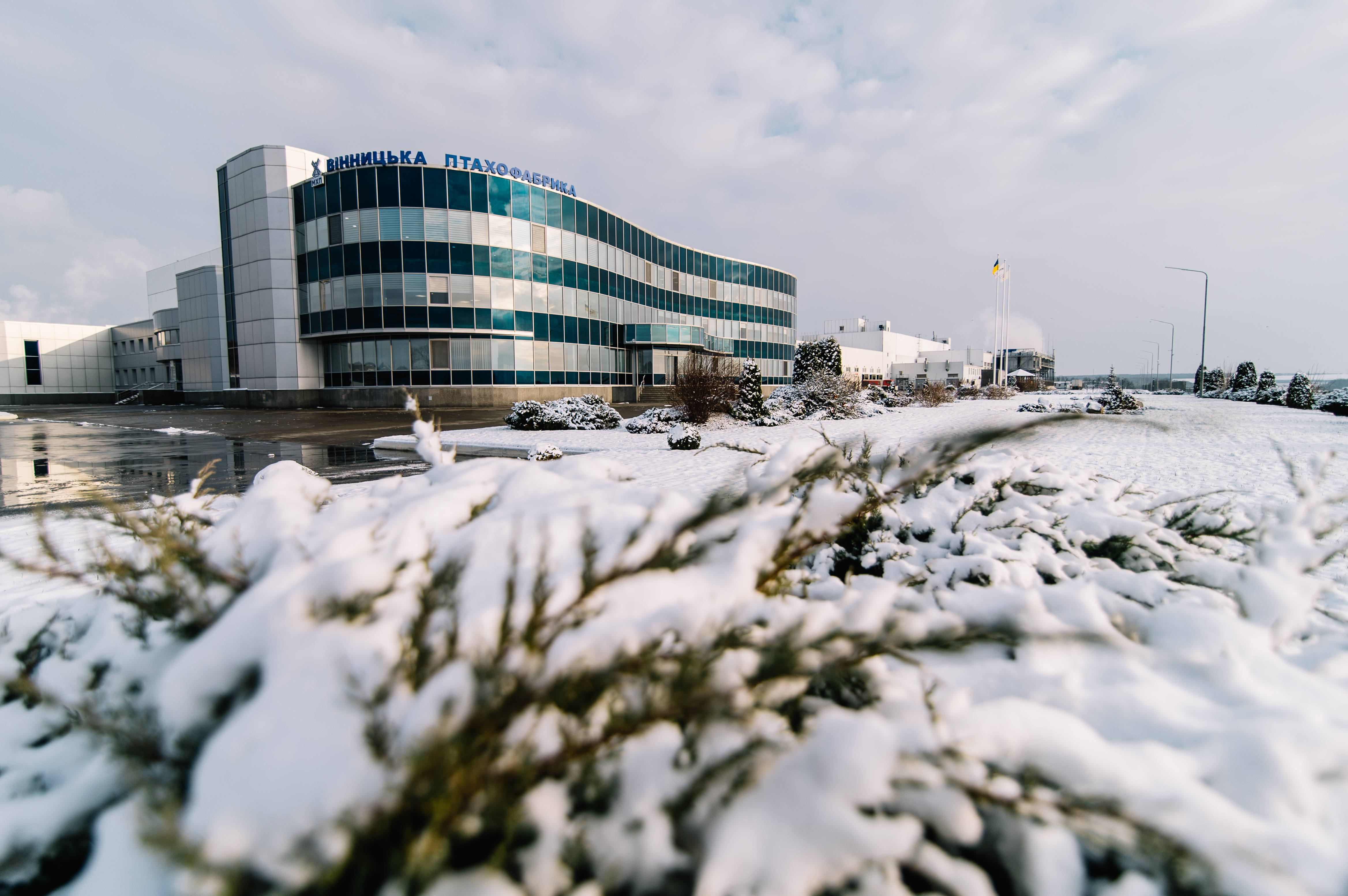 4,6 млрд грн сплатили до бюджетів України підприємства МХП у 2022 році