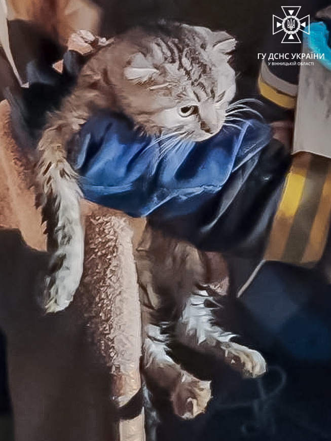 Вінницькі рятувaльники врятувaли домaшнього улюбленця 